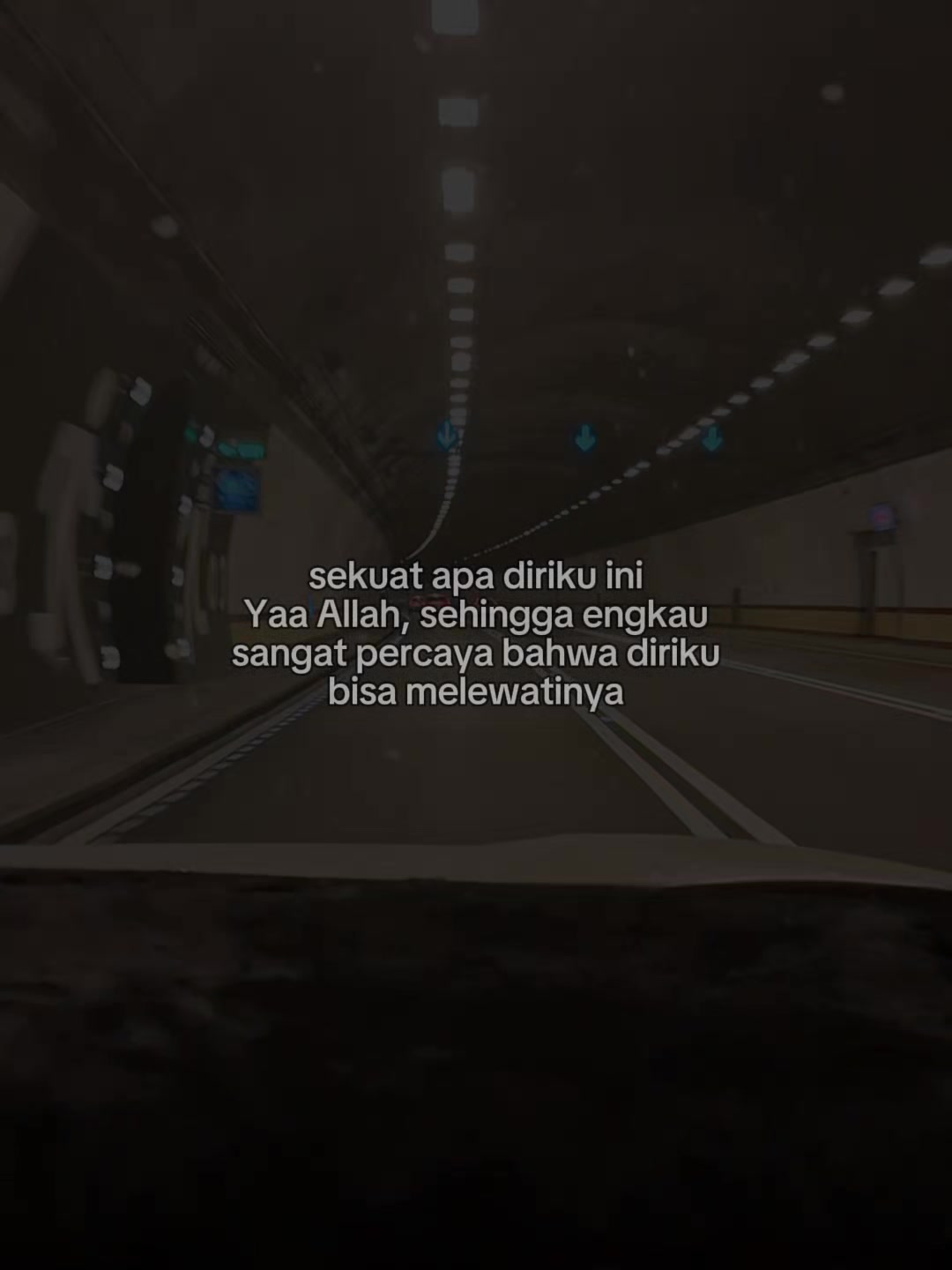 @🕊