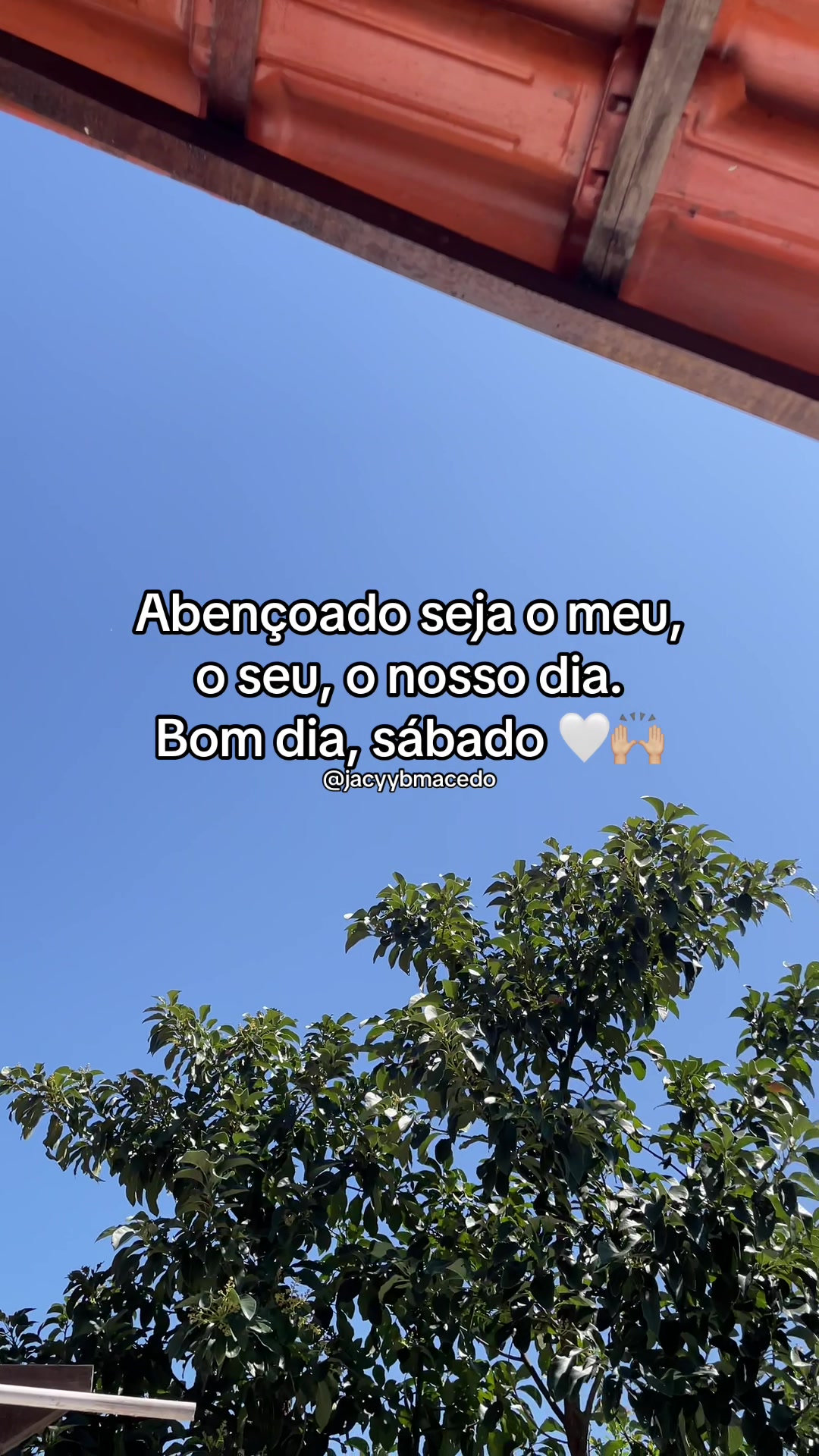 @jacybmacedo
