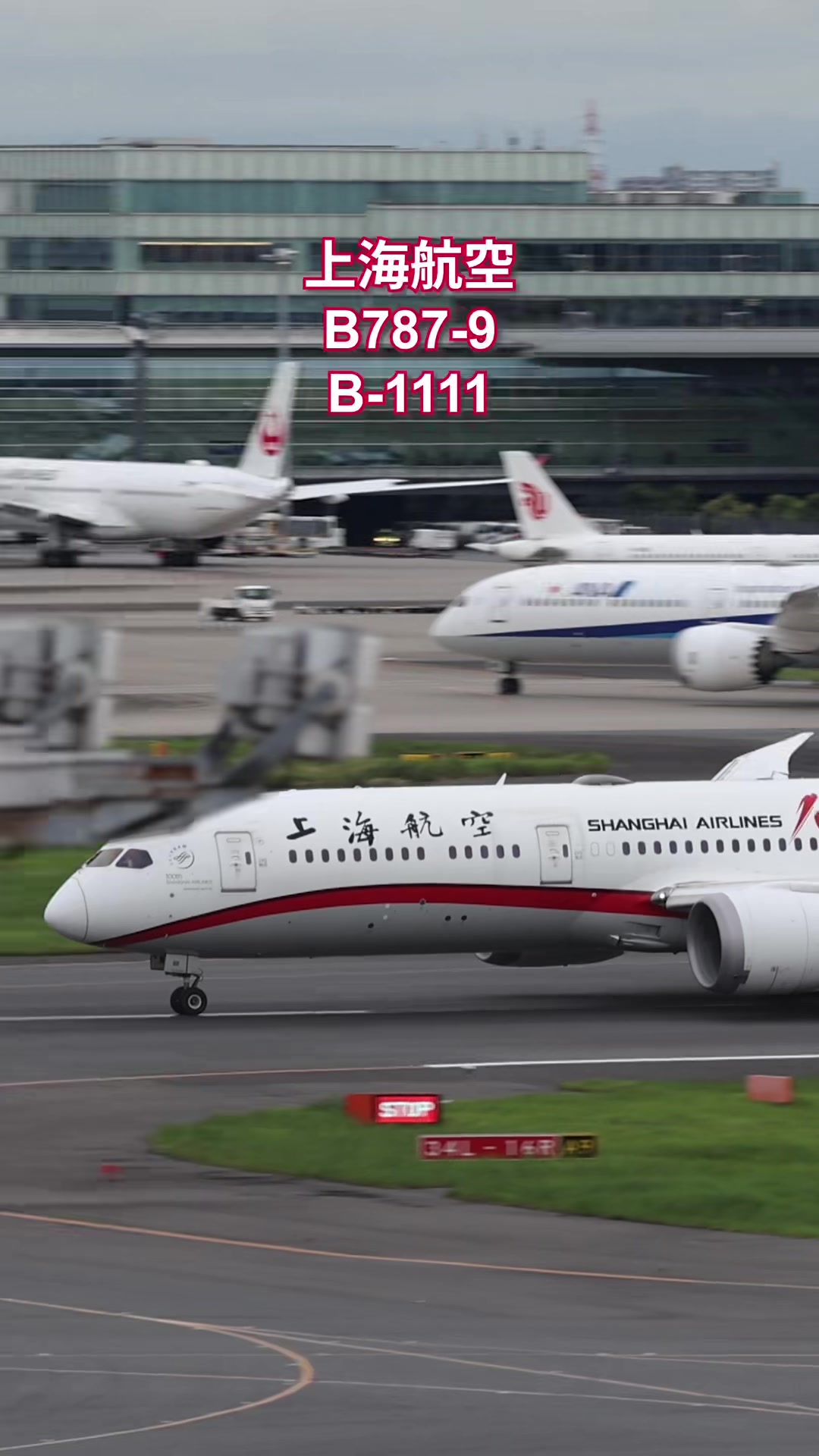 @Skyline だ〜はね|Haneda Airport ✈️