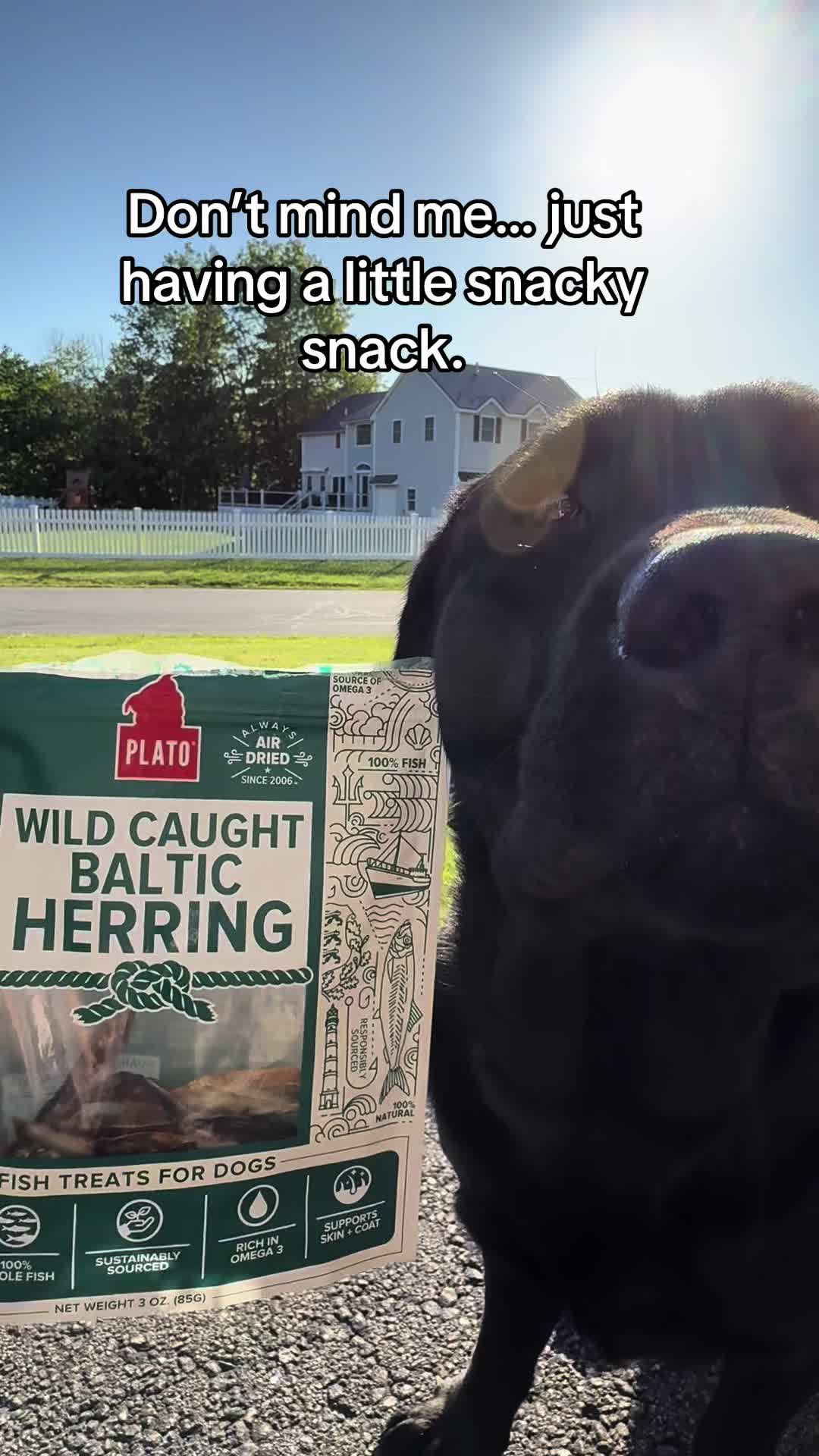 @DennisTheBlackLab
