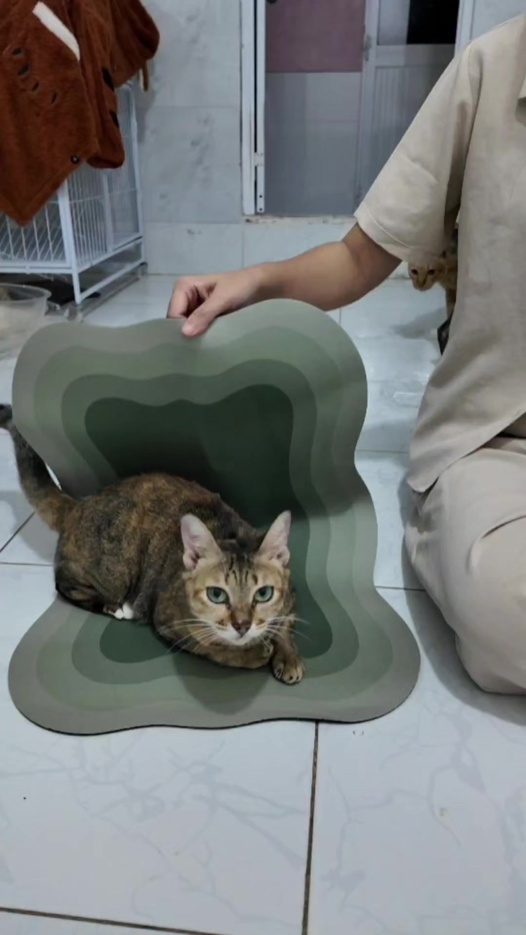 @Khế thúi
