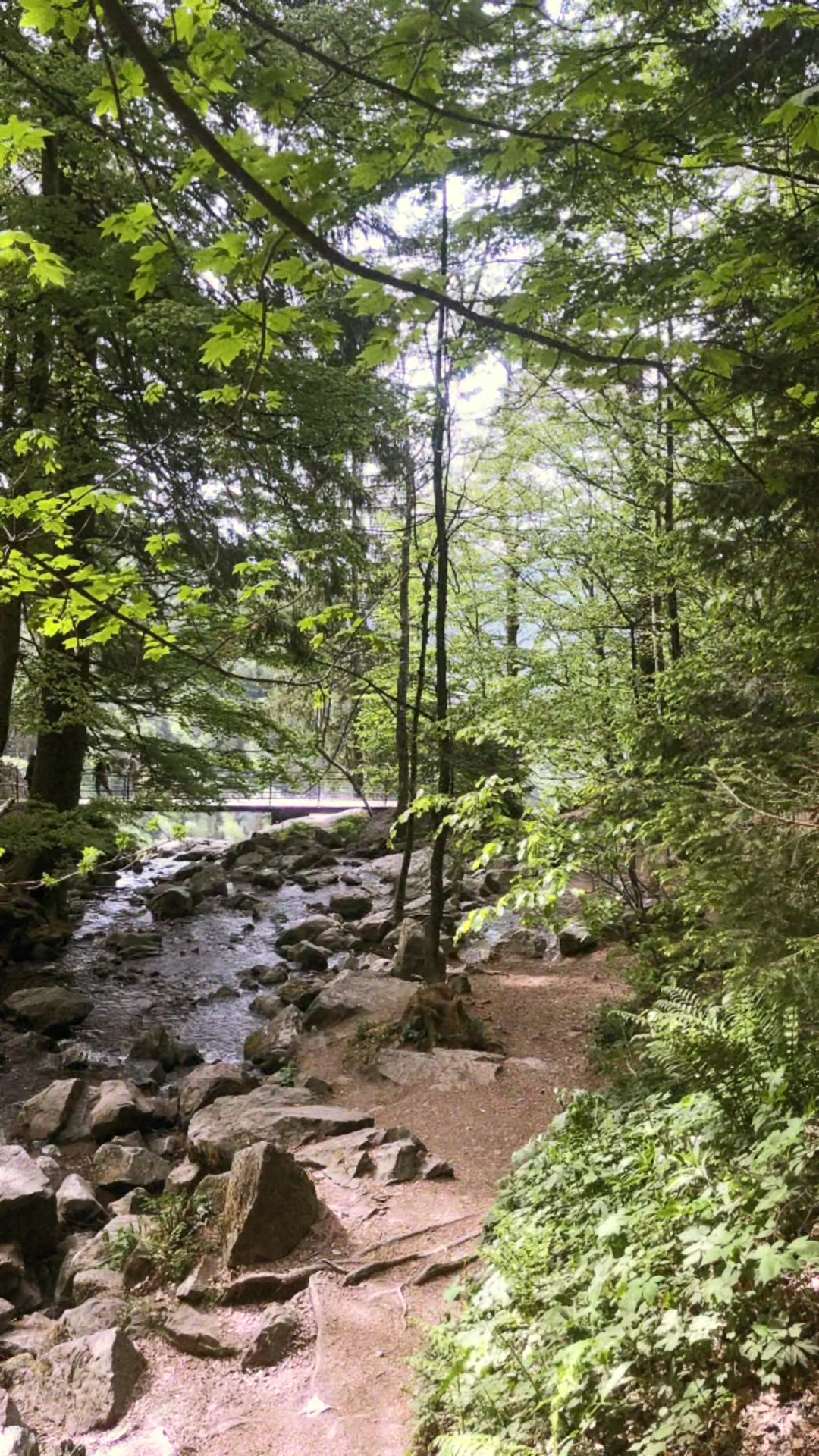 @user270173670