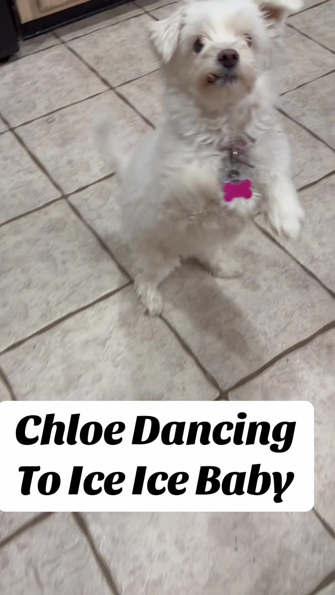 @Gidget Love