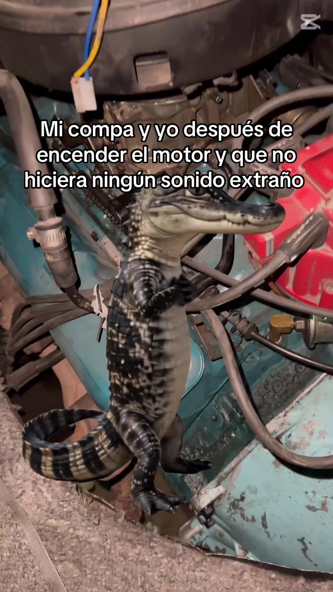 @Croautos