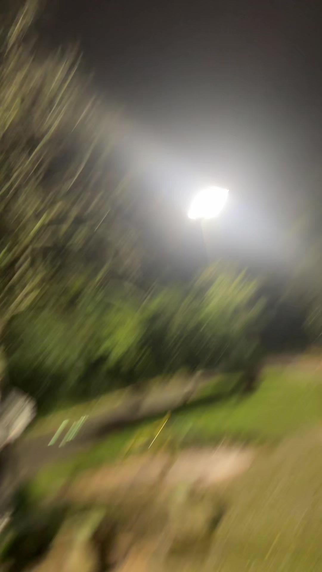 @𝗿𝗮𝗳𝗮𝘇𝗶𝘁𝗮 ⚢