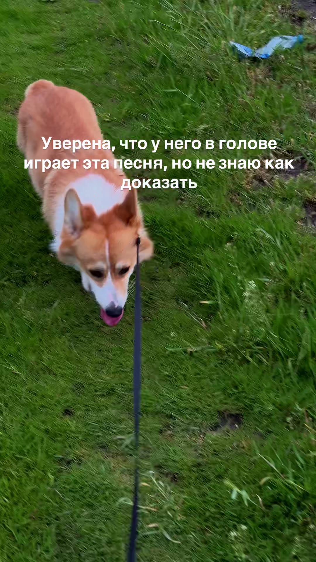 @Vlada & Santos