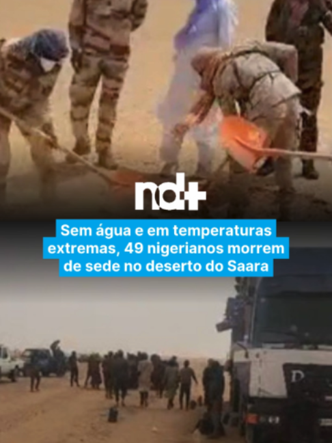 @portalndmais
