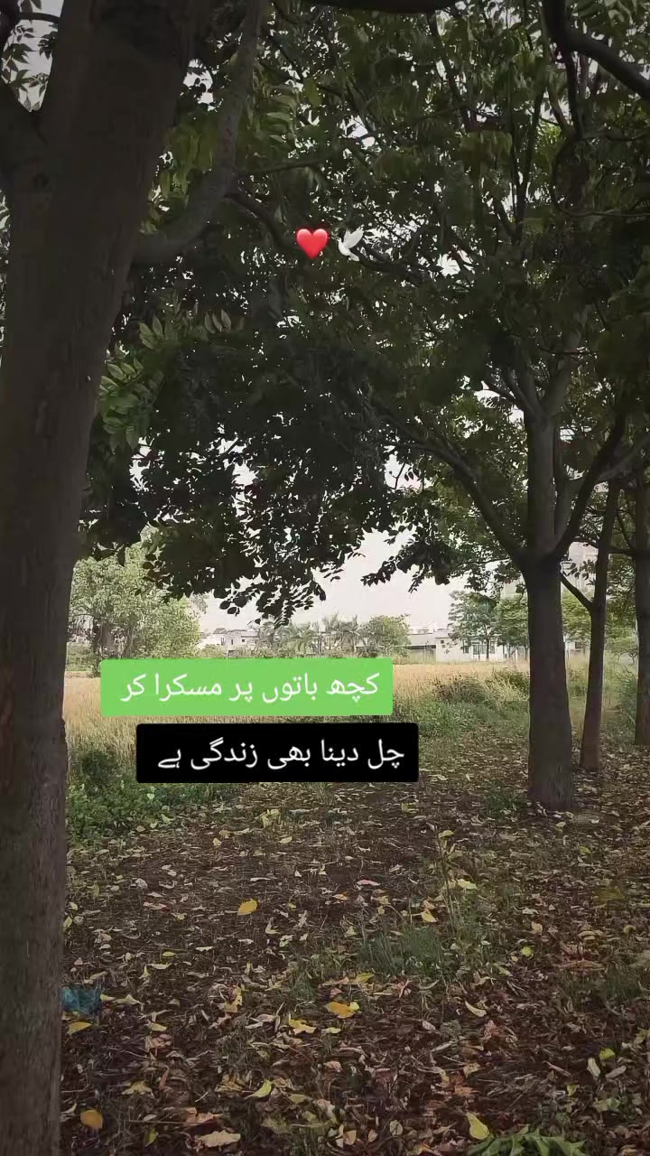 @Mr BiLAL...❤️