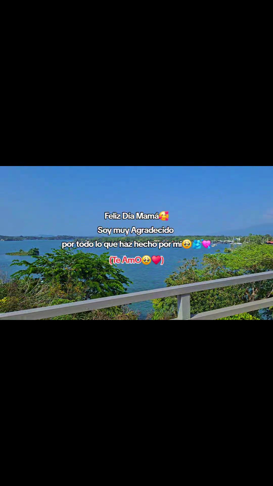 @𝑻  𝑯  𝑶  𝑴  𝑨  𝑺 🐢📸