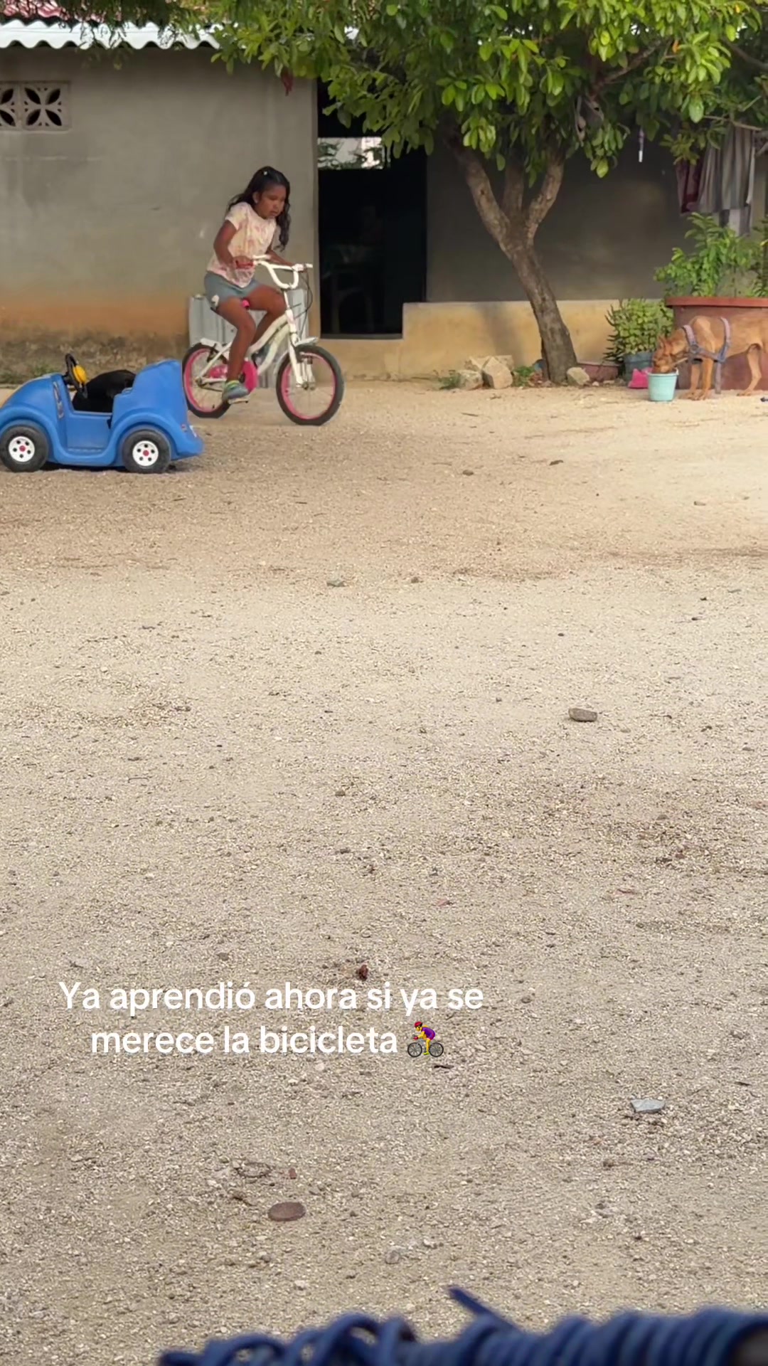 @Rubi🌸🐝