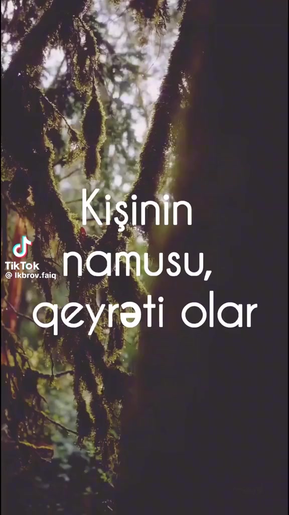@_AFƏR RÜSTƏMOV