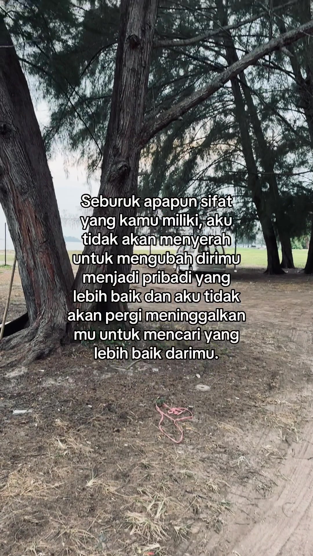 @Trinsomnia🦅