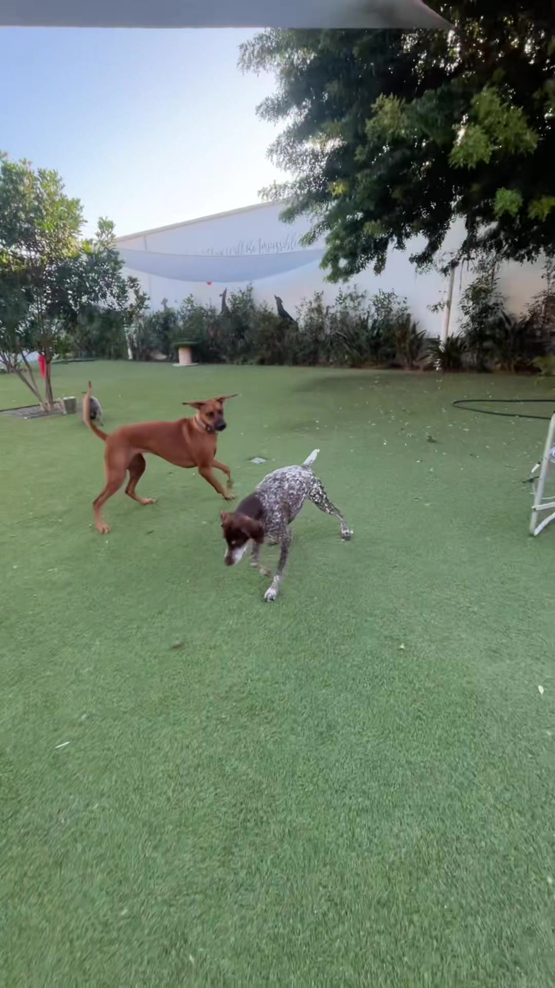@Bed Bark and Beyond