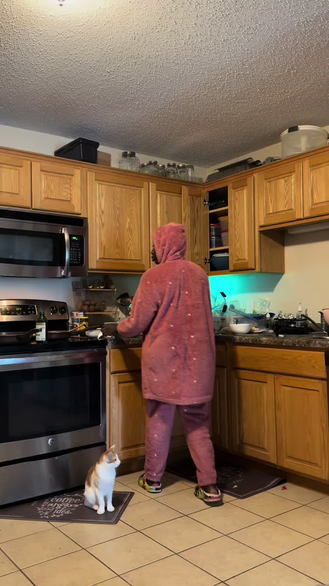 @Ayeeshaj1
