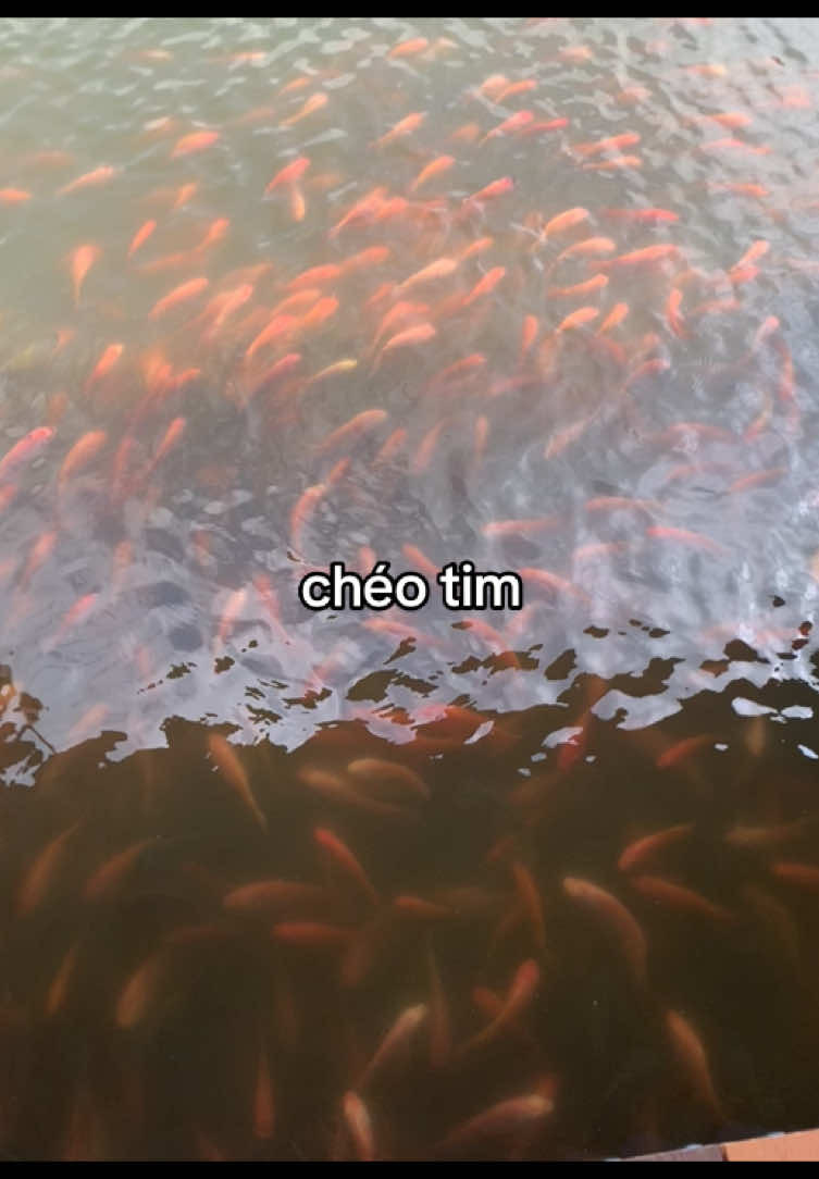@𝓗