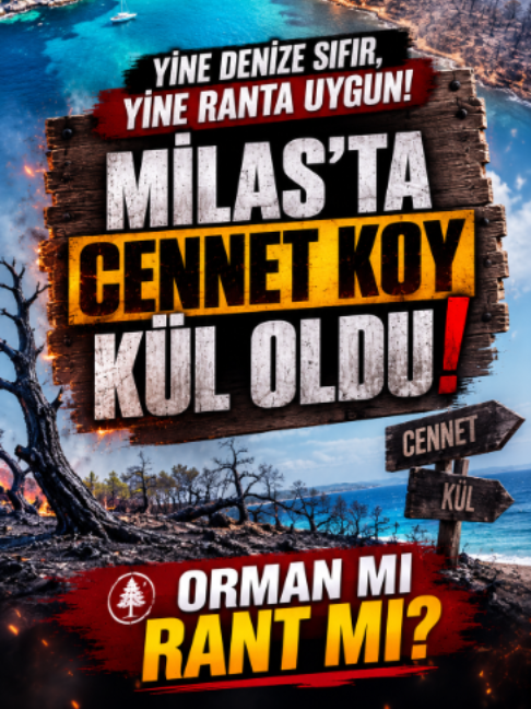 @Yurt Medya