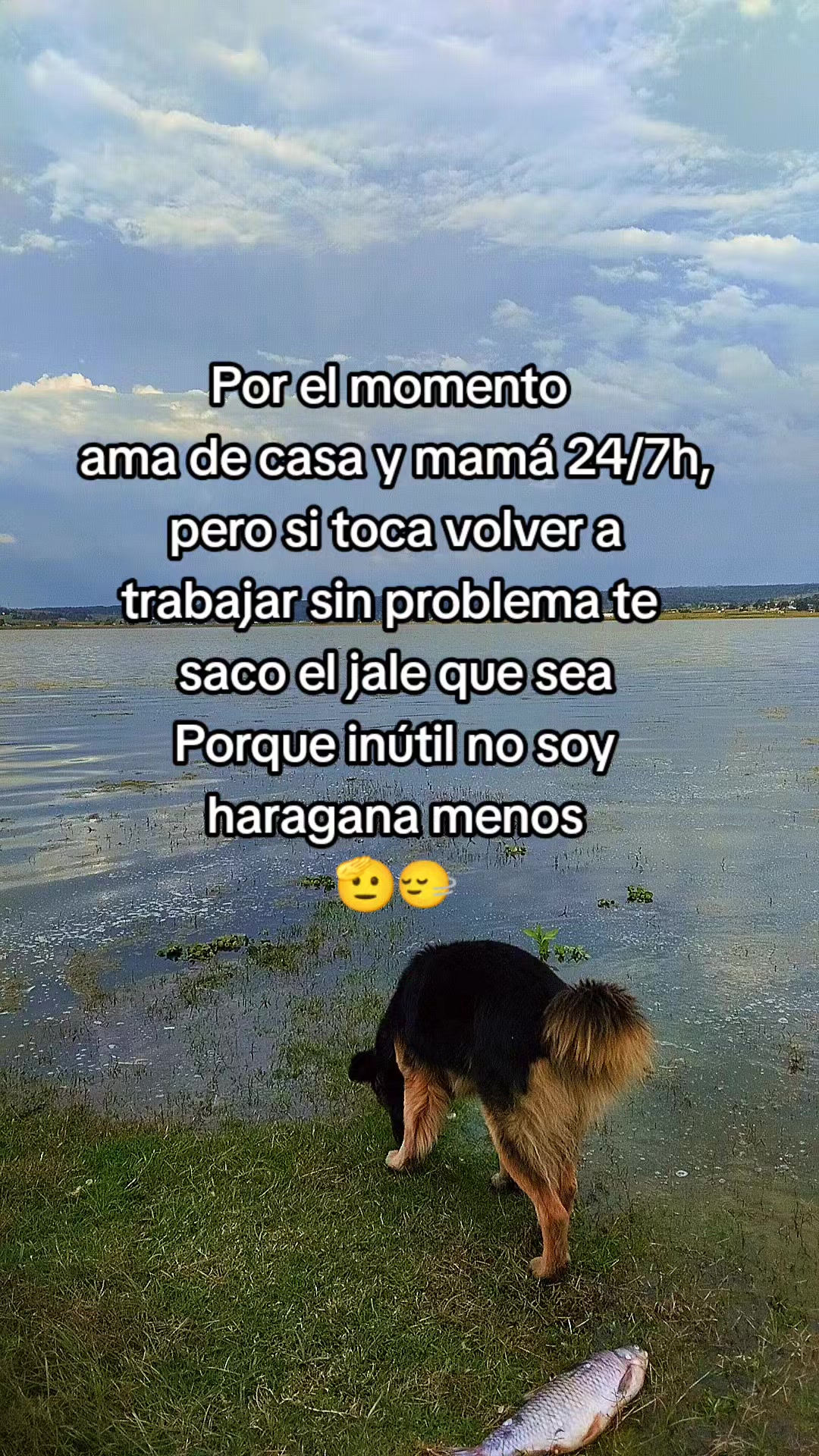 @DaYisLuka