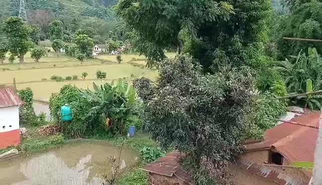 @जंग बहादुर