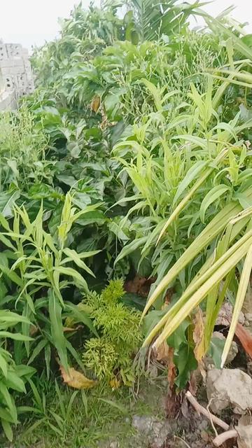 @thương c&ocirc;ng sức khỏe