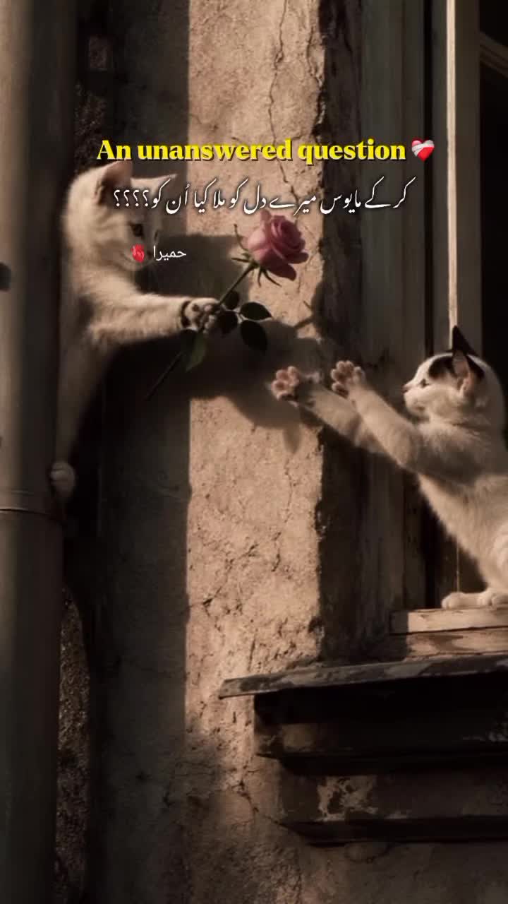 @@𝄟✮⃝humaira☆࿐:🦋⃟🦋⃟