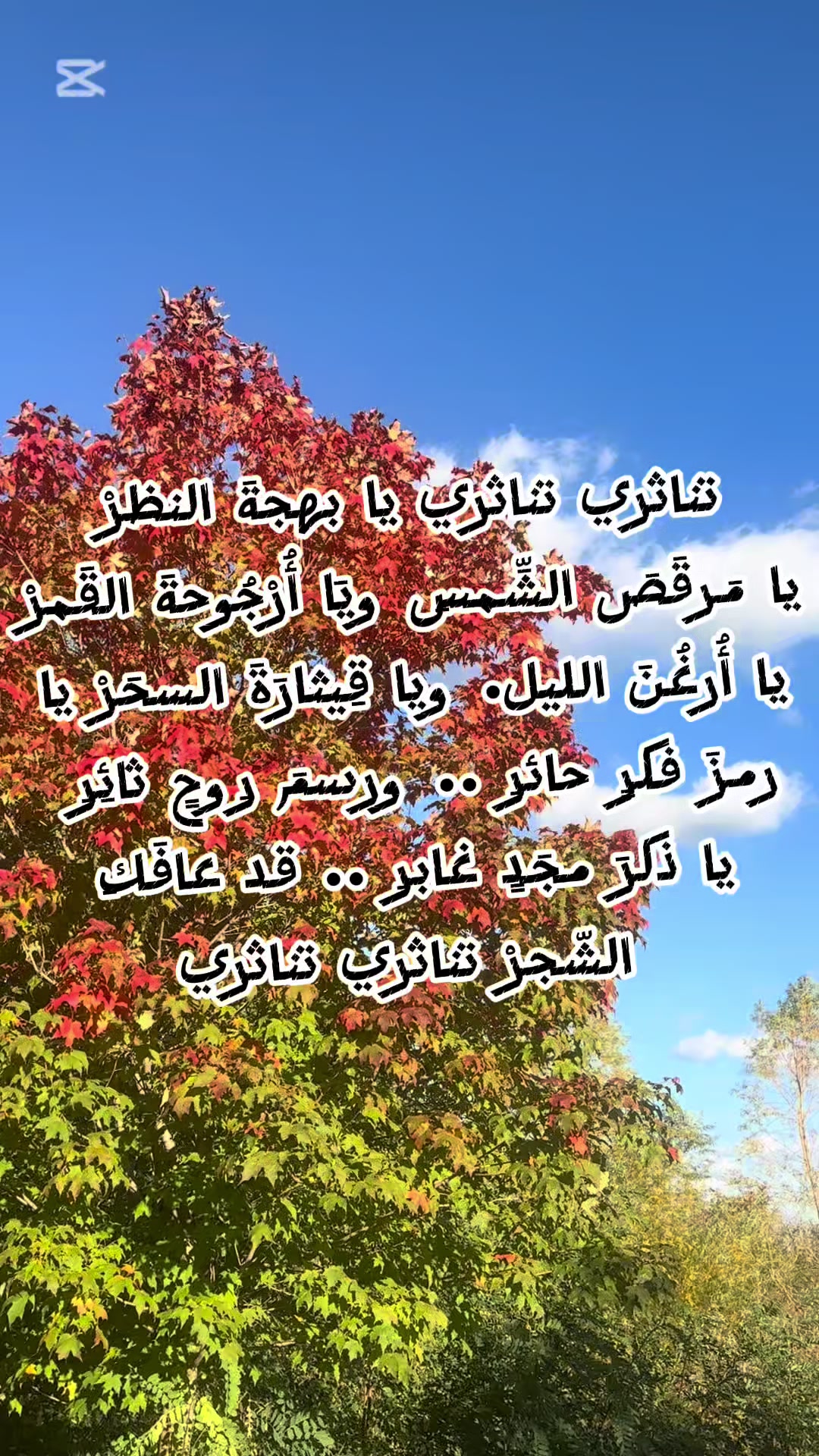 @ahmed.hameidi