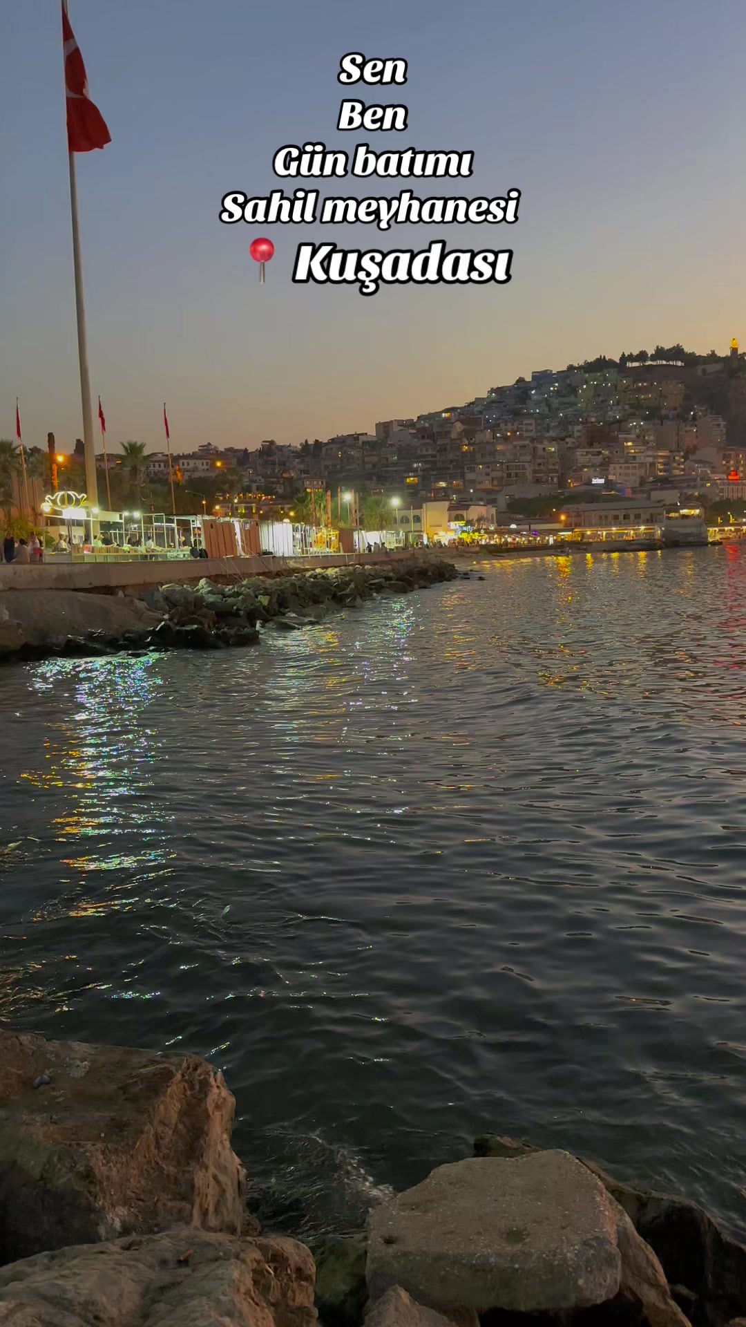 @Tarık Arıcı