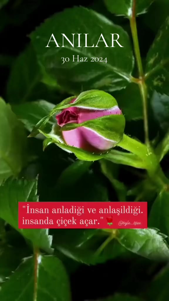 @🐞LâMaZi🐞