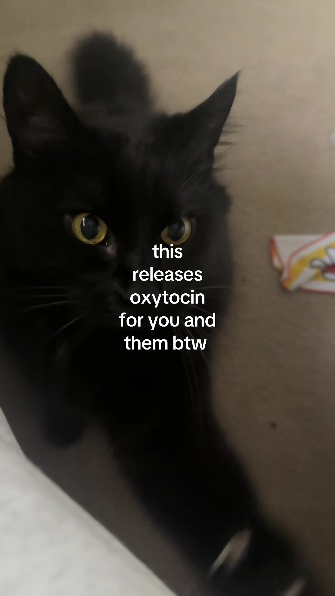 @Liz