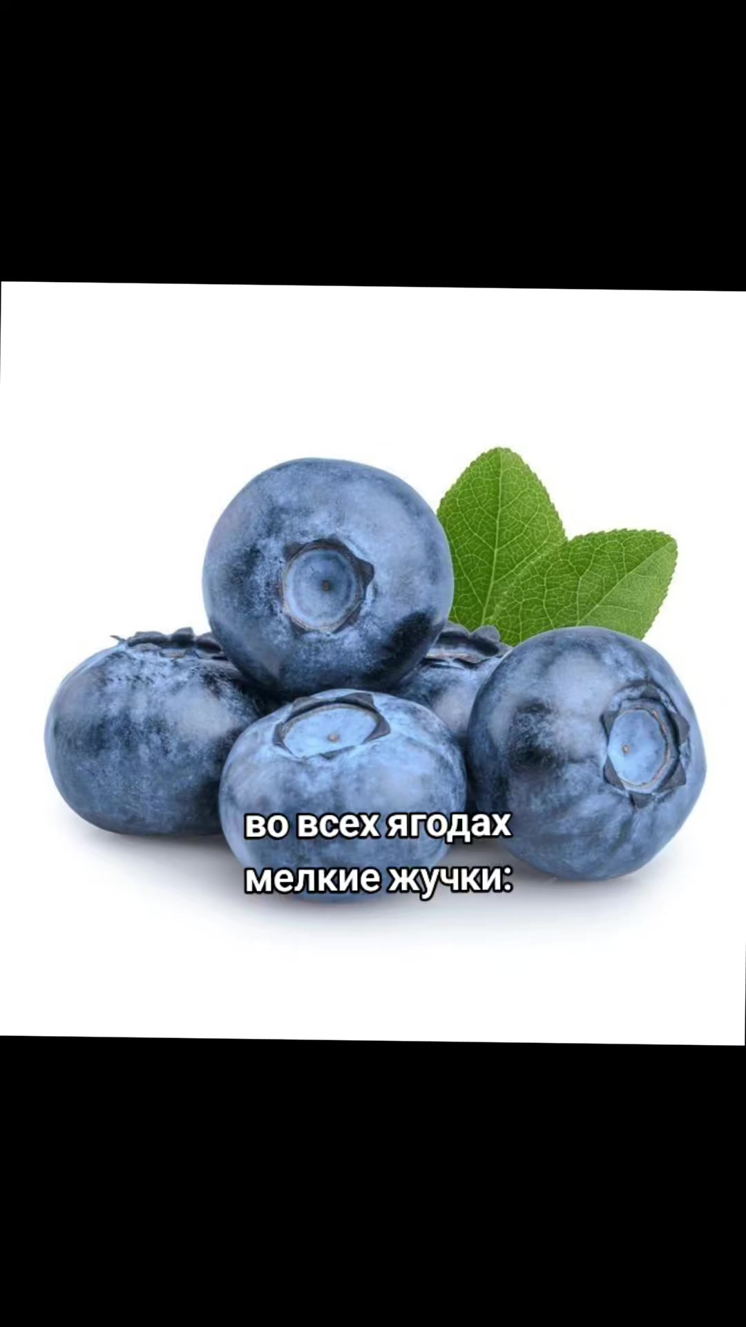 @🦝кириешка🦝
