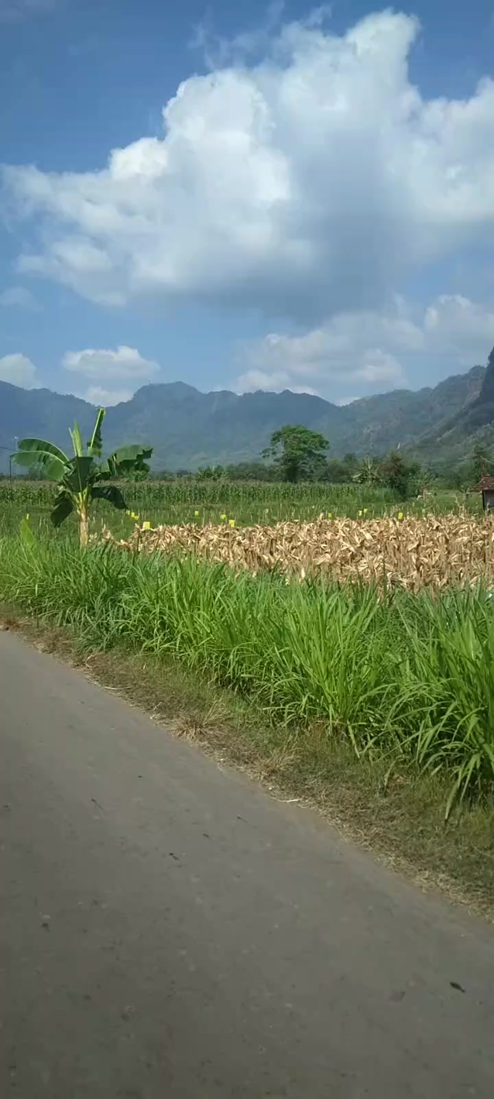 @senja