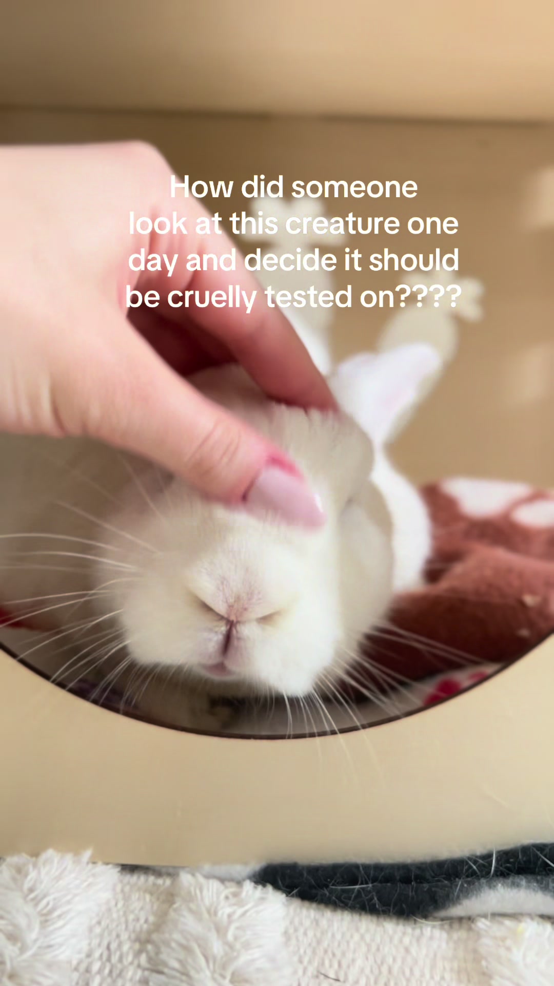 @Leaping Bunny Program