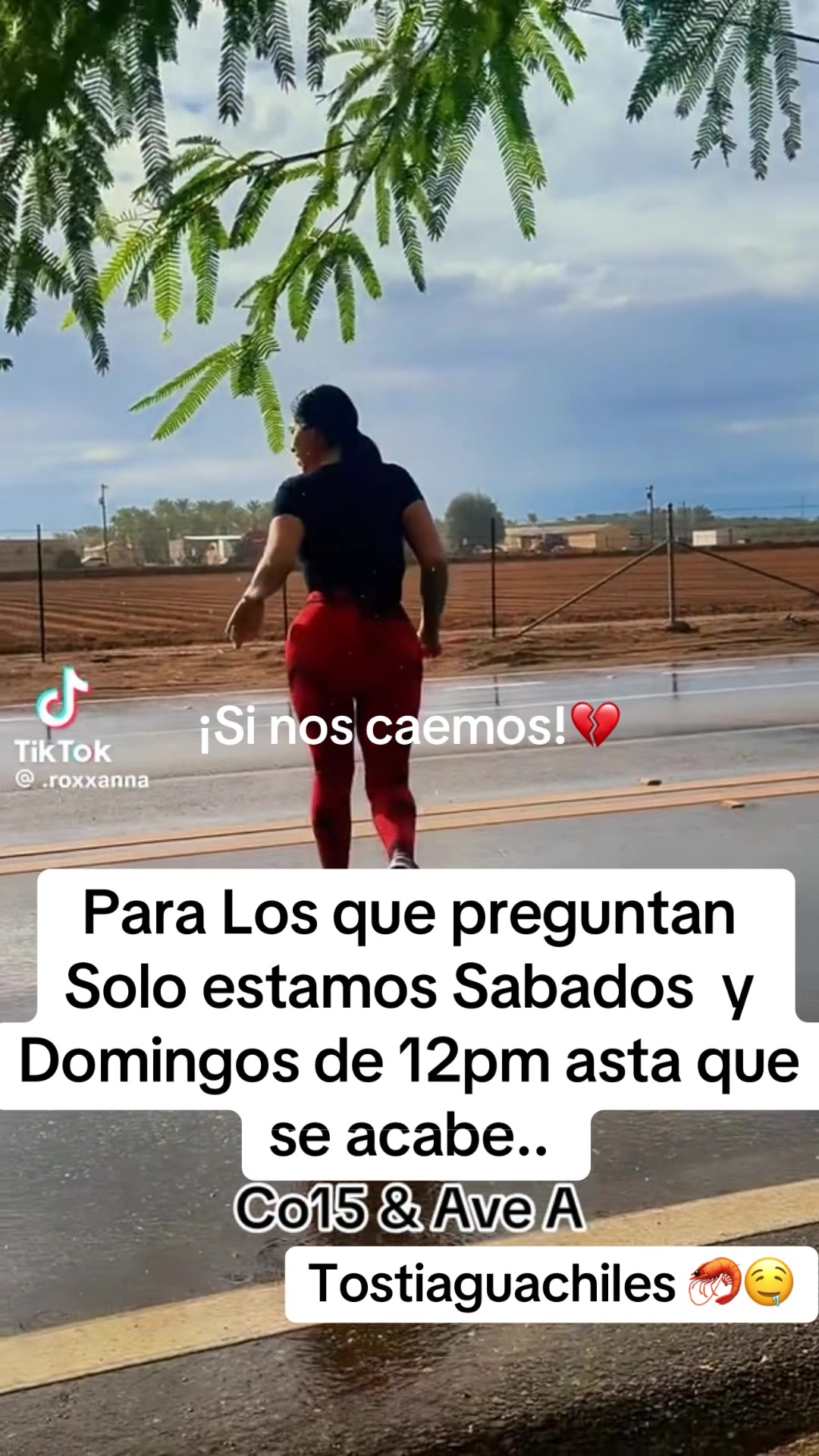 @Mely