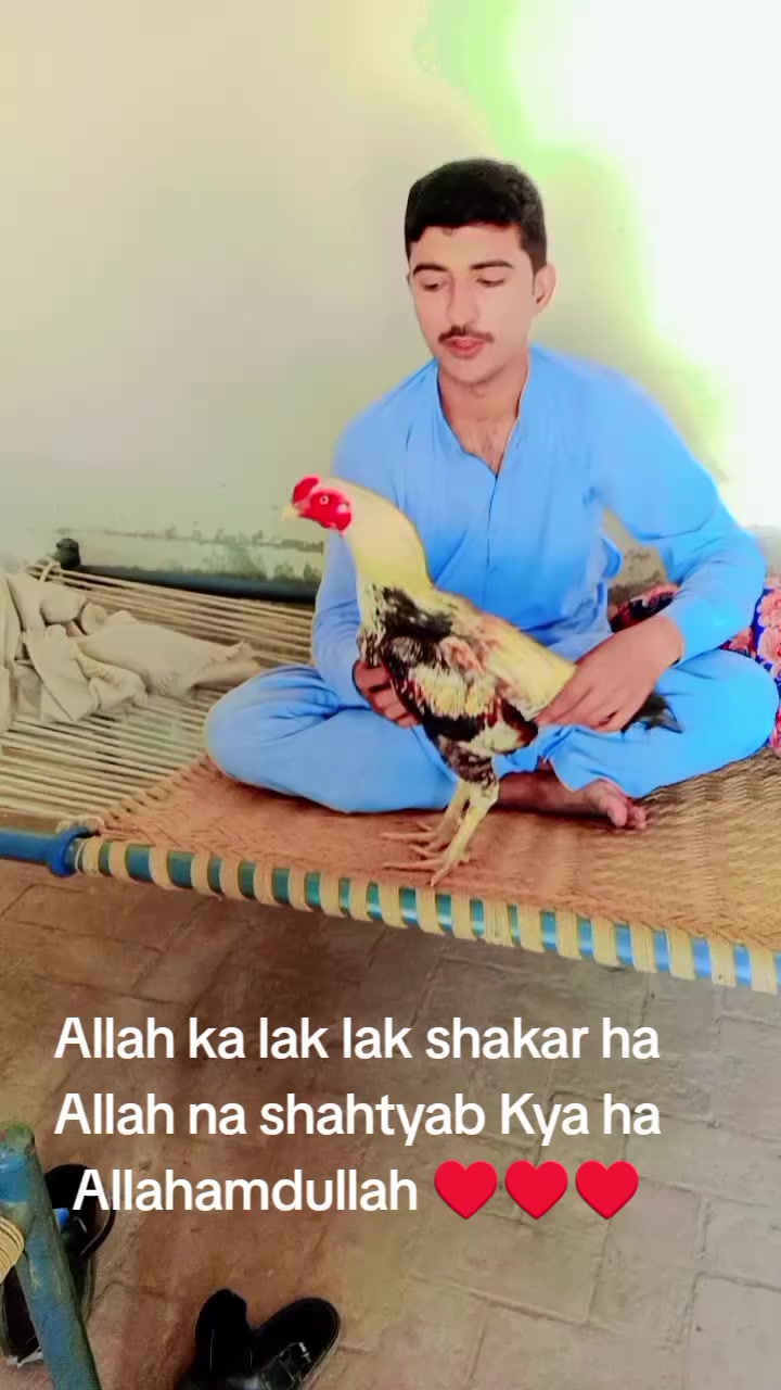 @kashifaseel2