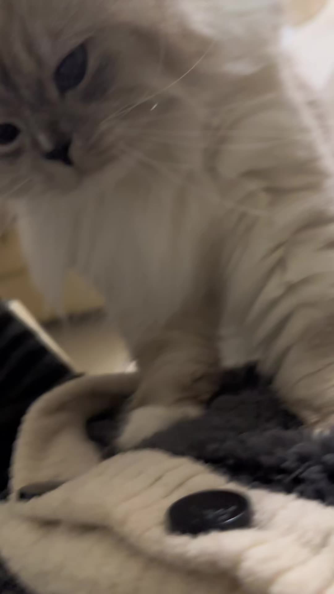 @wq4dwsasz4g