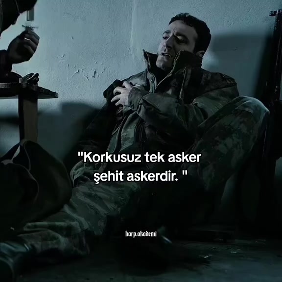 @harp.akademi