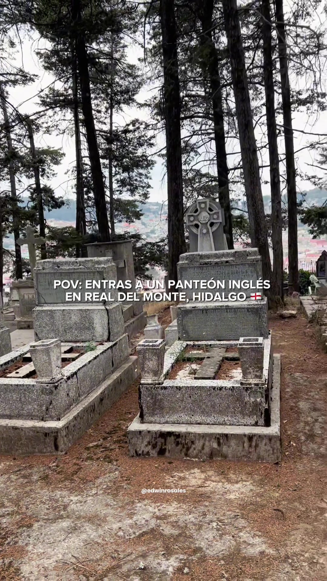 @Edwin Rosales 🇲🇽