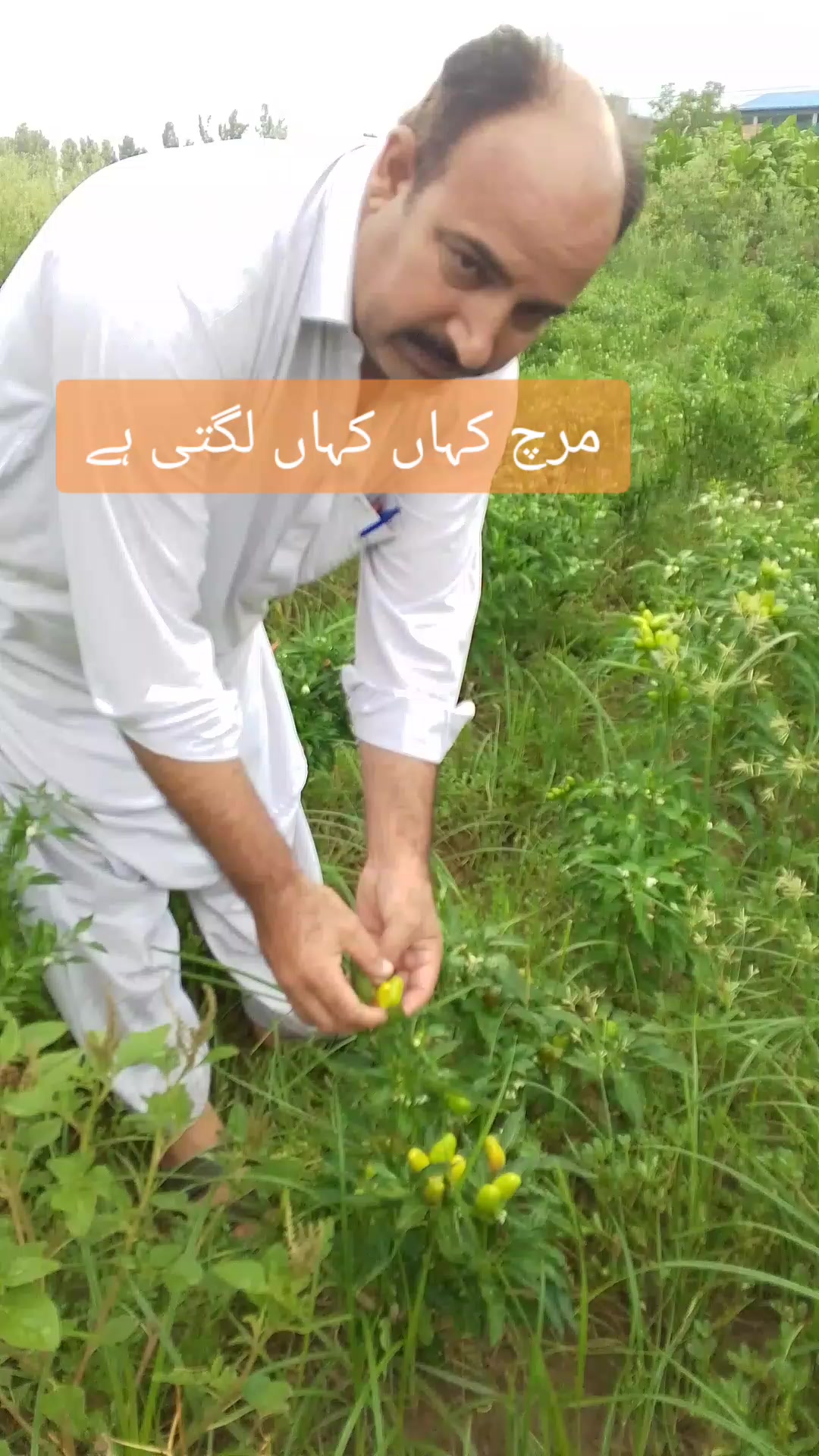 @𝙈.𝙏𝙐𝙁𝘼𝙄𝙇 Hazara🌹
