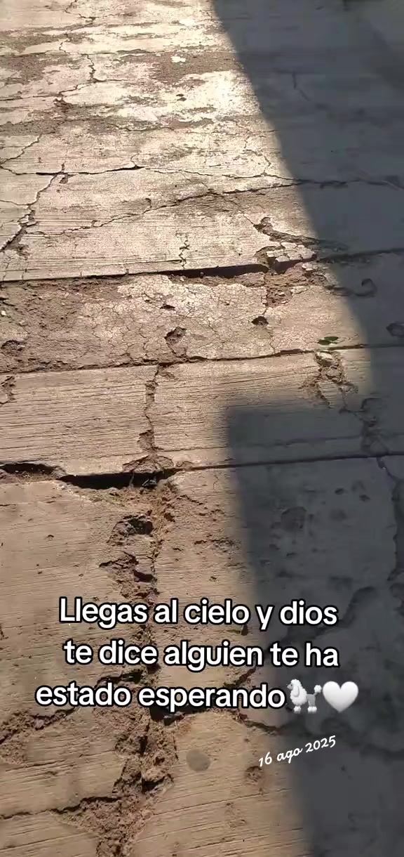 @MR