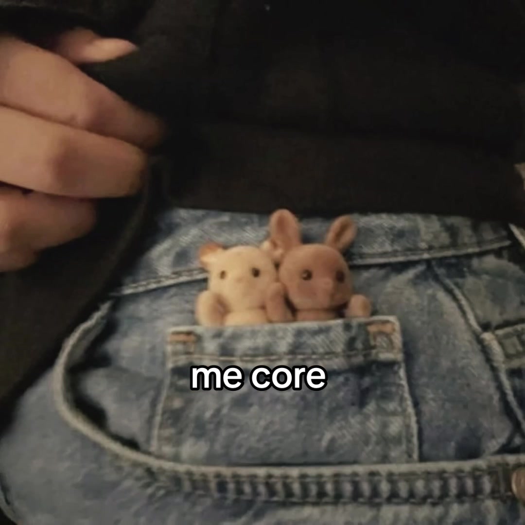 @🪻⋆˚࿔