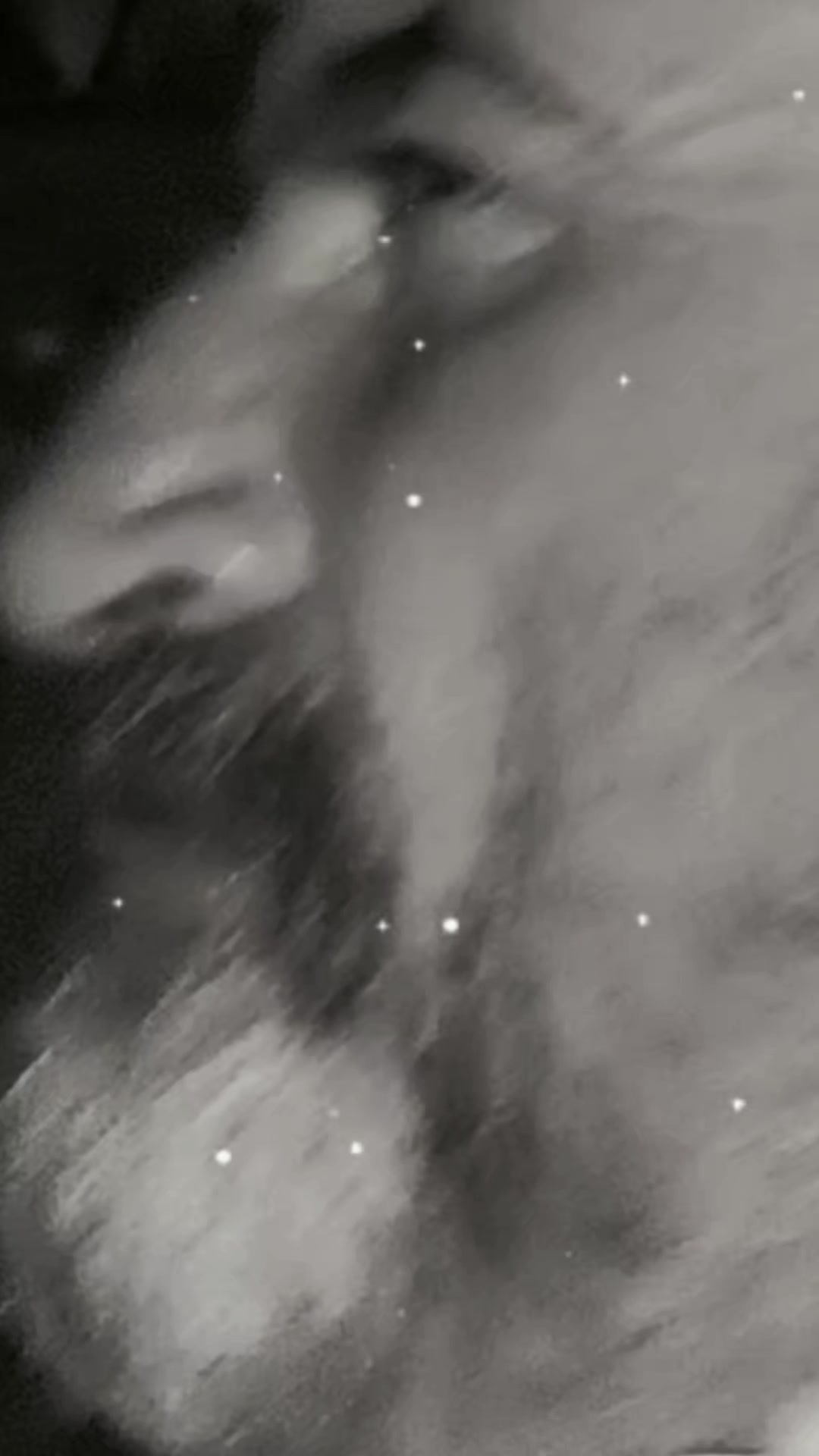 @𝙠𝙖𝙧𝙖𝙙𝙖𝙮ı