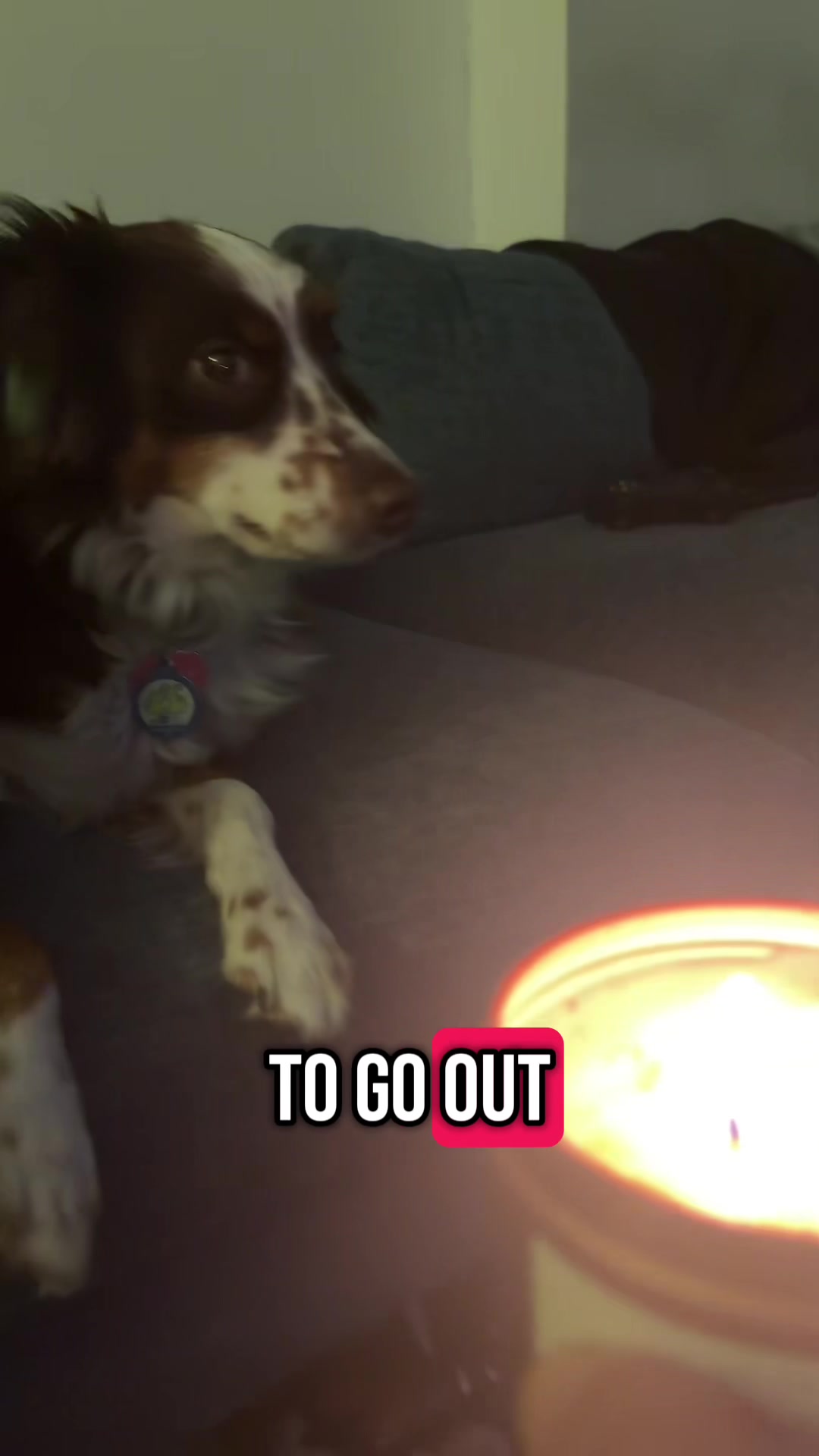 @ShushuTravels