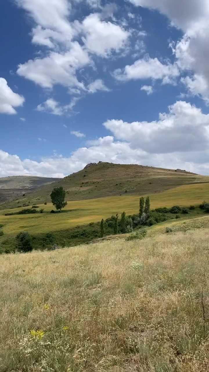 @kayserili
