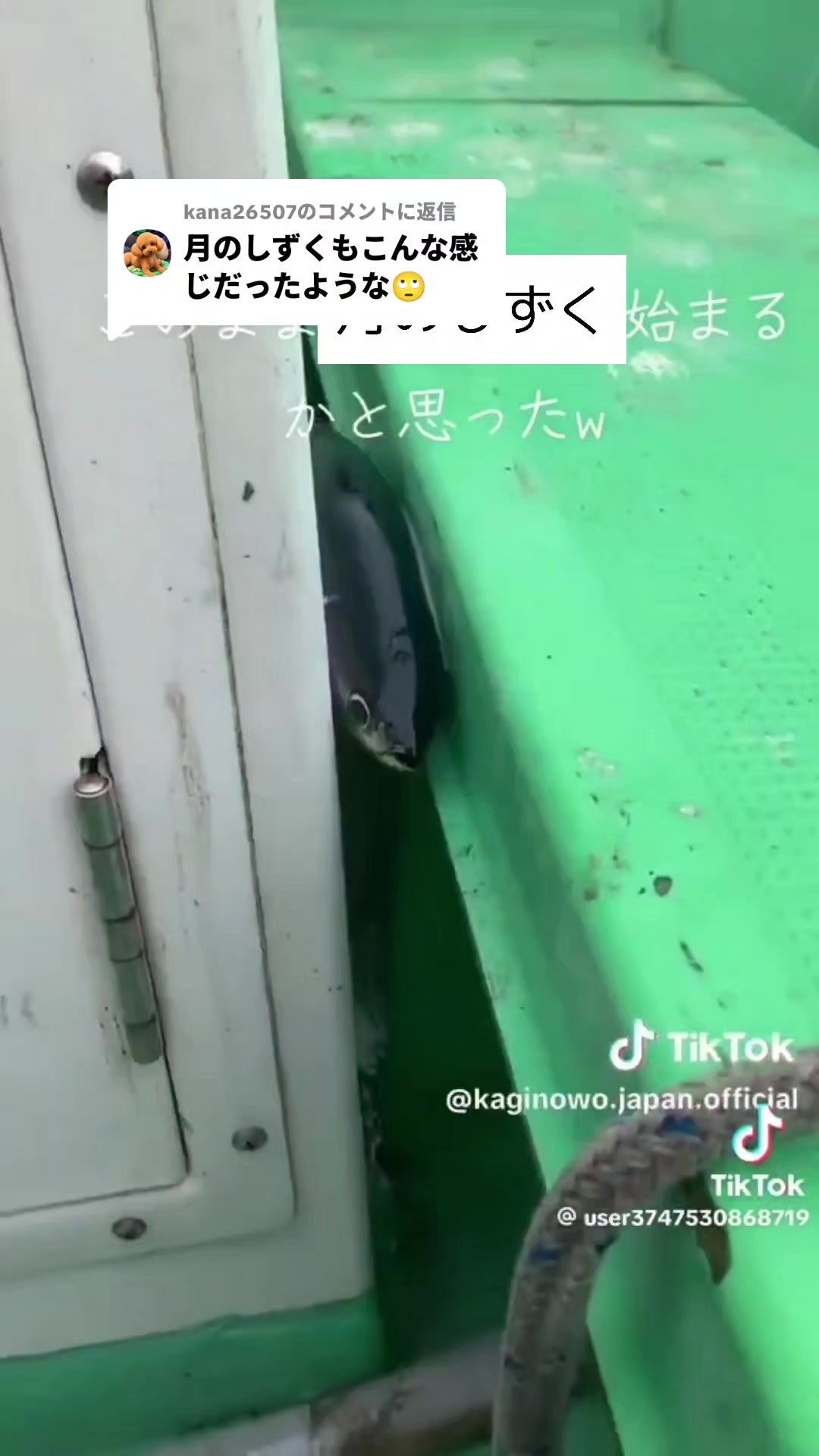 @タピオカ