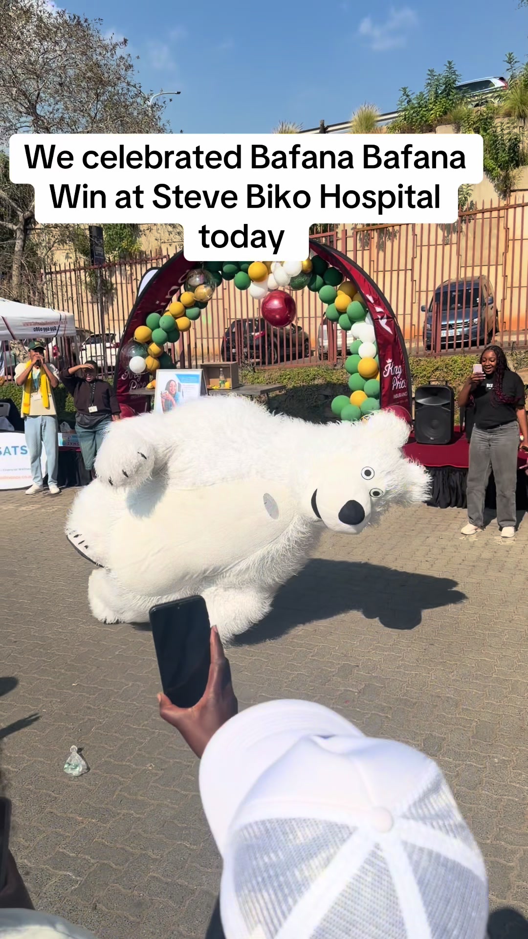 @dancingmascotssa