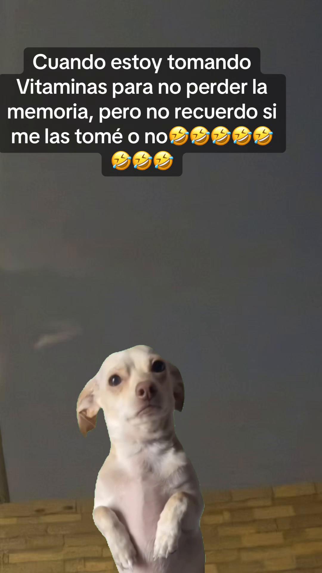 @Hernandez18-2 memes y mas
