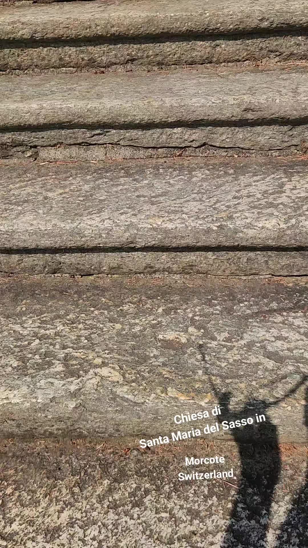 @MagsJ