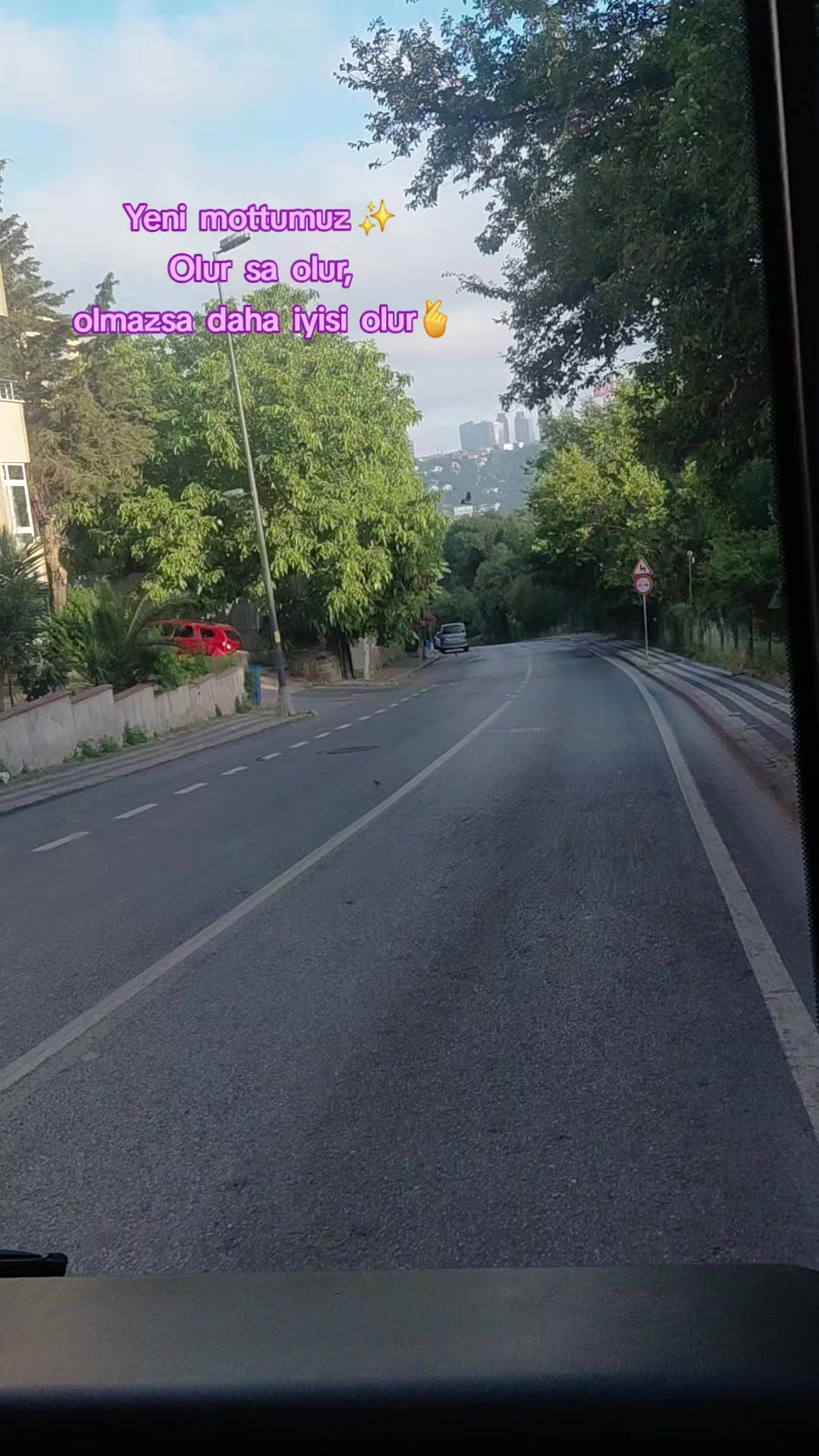 @LAZKizi❤️61💙53💚💙⚜️⚜️
