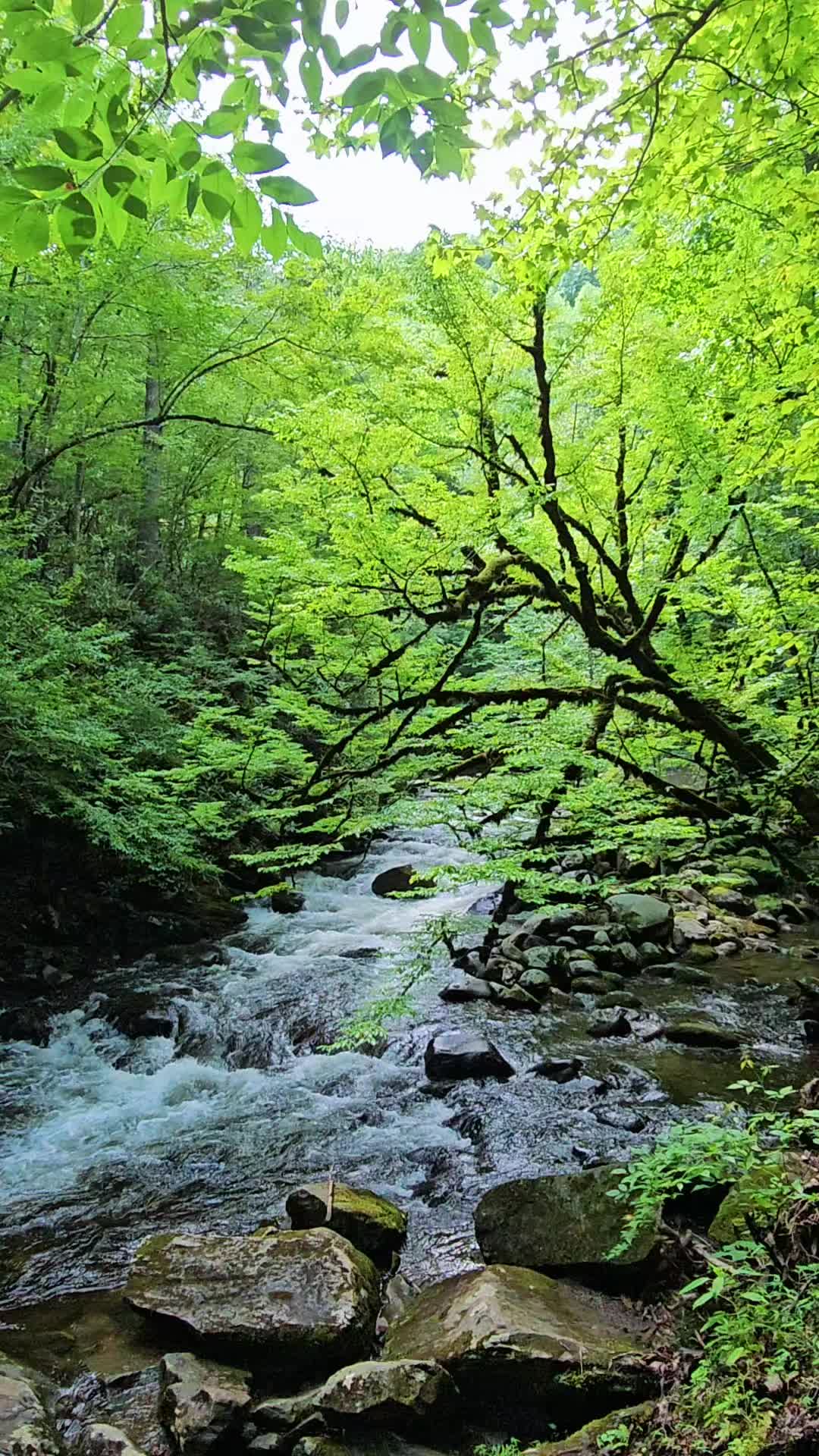 @Kat_💚the💦nature🌿lover💙