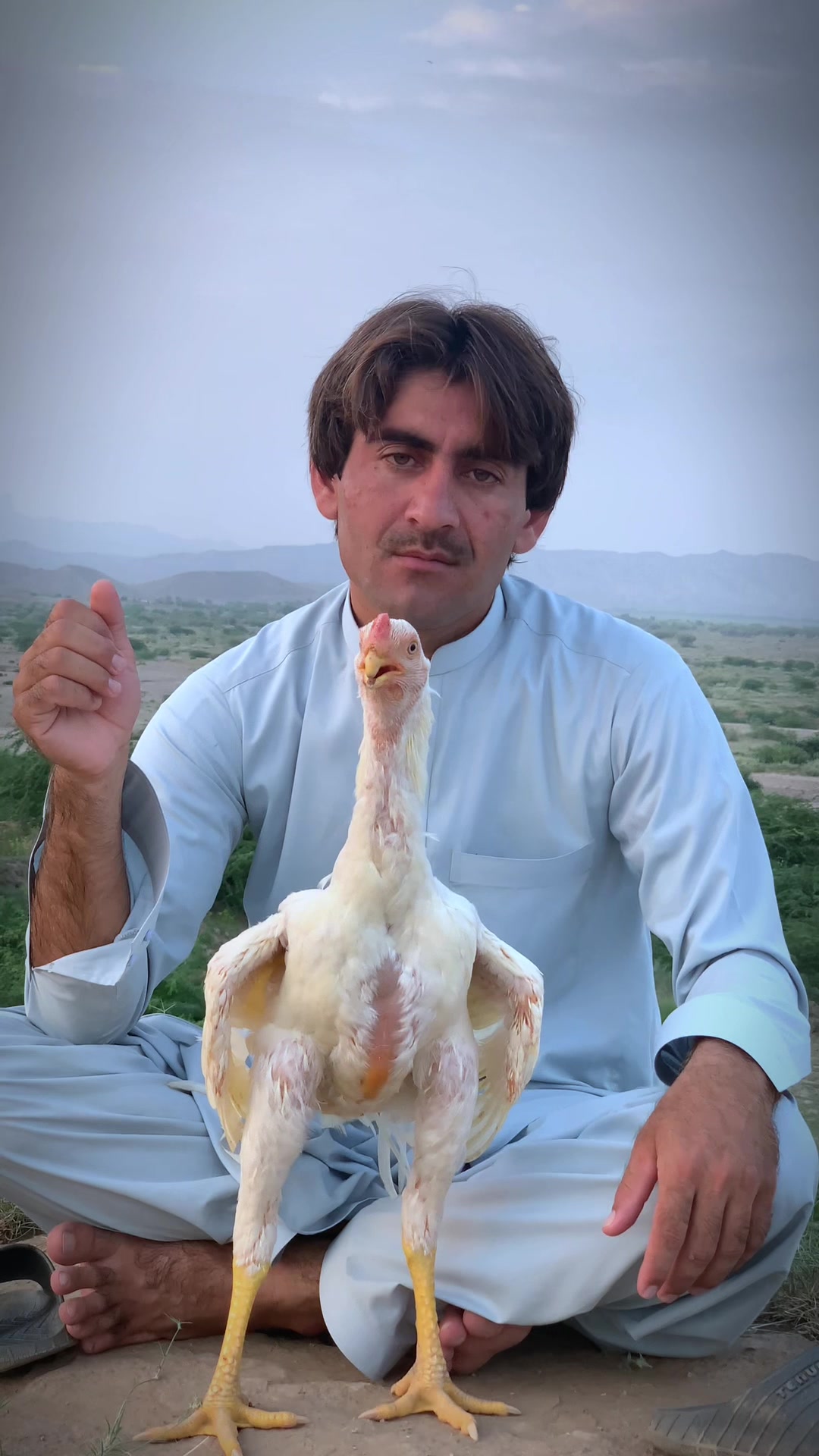 @Birds_Goat