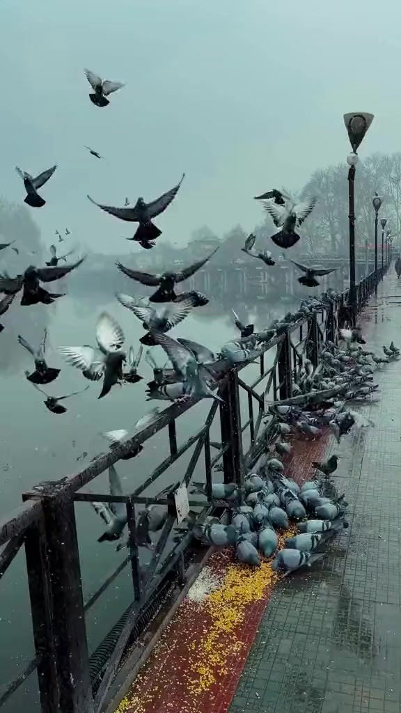 @واثقه بالله